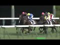 第82回　東京優駿（日本ダービー）　ドゥラメンテ　牡３　57　m.デムーロ　2015.5.31　　出走馬：サトノラーゼン、サトノクラウン 、リアルスティール、コメート、キタサンブラック、ベルラップ他