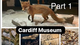 National Museum Cardiff, UK| Travel Diary😍 | Part 1| The Wonderworld