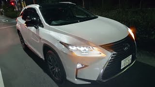 LEXUS RX-450h ひよどりやま道路　強風による傷について愚痴ります・・・。