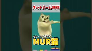 ネットミーム【MUR猫】について解説 #解説動画 #meme #猫ミーム