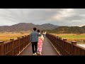 4k 노을지는 순천만 습지 둘러보기 walking around suncheonman wetland