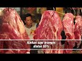 paket super sapi brangus qurban 2022