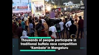 Thousands of people participate in traditional buffalo race competition ‘Kambala’ in Mangaluru