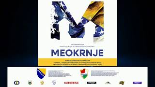 Meokrnje 2024.Naucni skup 2.