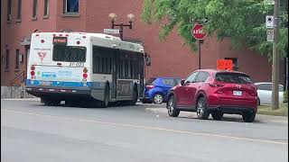 MONTREAL STM BUSSES IN ACTION JULY 2020