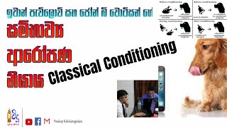 Classical Conditioning Theory| Sinhala| Ivan Pavlov| Cognitive Behavioral Learning| Psychology|