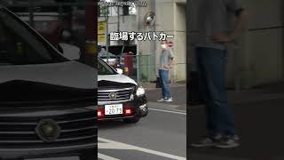 【緊迫!!】殺人事件現場に緊急走行で臨場する所轄パトカーと覆面パトカー!!#shorts