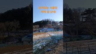 운치있는 시골집 싸게 잘 샀네! 재미있는 shorts 옛날집 여행 부동산 빈집 한옥 멋진산 오지마을 전원주택 골동품