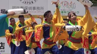 我楽多 2016岡山うらじゃ 1日目 下石井公園 mususukunjp