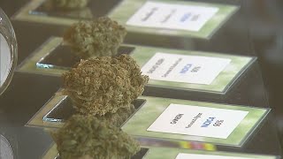 Marijuana Delivery & Consumption Clubs Closer To Being Approved By Denver City Council
