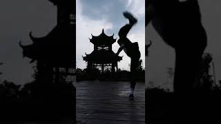 chiese kungfu 截拳道表演 李小龙模仿者 5