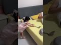 十点了爸爸还在睡觉，闺女都看不下去了！ funny 搞笑 baby