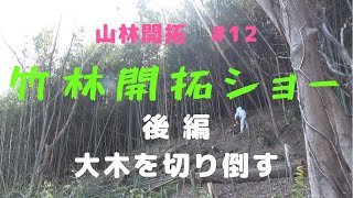 【山林開拓】#12　山林開拓ショー 後編　大木切り倒し