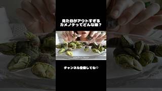 カメノテってどんな味？🐢 #咀嚼音 #食べる音 #japanesefood #asmr #mukbang #eating #eatingsounds #shorts