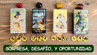 Llega una sorpresa a tu vida, trae un desafio y una gran oportunidad!