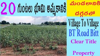 20 గుంటల వ్యవసాయ భూమి || మండలానికి అనుకోని || #srinivasagriculturelands