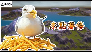 一隻吃了薯條會拉稀的鳥，再來說我被鳥撞的小故事【挣点薯条】