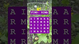 Observation Visual Test: 5 Seconds For You To Spot RIMA. Try Your Skills!  #search #puzzle #shorts