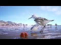 piper short movie pixar sky is blue