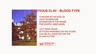 Blood Type (Official Audio)