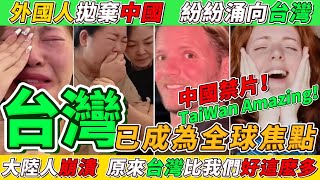 台灣已是全球焦點！外國人拋棄中國涌向台灣！大陸網友崩潰「他們怎麽都去台灣了？」｜Reaction Video