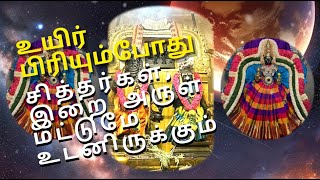 உயிர் பிரியும்போது சித்தர்கள் மற்றும் இறை அருள் மட்டுமே உடன் இறக்கும் | அகதியப்பெருமான் வாக்கு