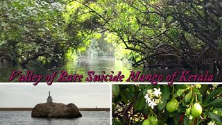 Kerala |Suicide Tree| Poisonous Mango|Backwaters