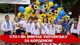 Нема з чого вчити українську мову? Чому підручники для діаспори не друкують