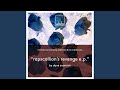 Rapscallion's Revenge (Ian o'donovan Remix)