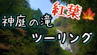 神庭の滝で紅葉ツーリング【岡山】【Motovlog】【U.turn!】【モトブログ】【MT-25】