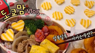도쿄맘의 평범한 일상🗼 신박한 치즈 도시락, 단호박 단고 | 외식하고 츠키지 시장 갔던 주부 일상