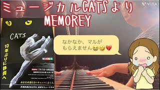 【MEMORY(from CATS the Musical)】劇団四季ミュージカルCATSのメモリー 上手く弾けない動画😭