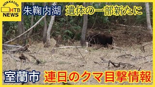 幌加内町・朱鞠内湖で新たにクマに襲われたとみられる遺体の一部発見　目撃相次ぐ室蘭でもクマ警戒