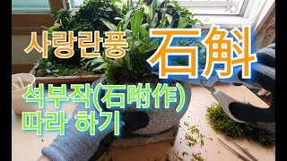 사랑란풍 석곡(石斛) 석부작 따라 하기~