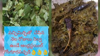 #Gongura pickle#పచ్చిమిర్చితో చేసిన నెల రోజులు నిల్వ ఉండే గోంగూర పచ్చడి#ఆంధ్రస్టైల్ గోంగూర పచ్చడి