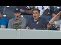 Squirrel goes NUTS at Yankee Stadium, scurries across outfield fence!!!