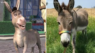 Perry, real-life donkey who inspired iconic 'Shrek' character, dies at 30