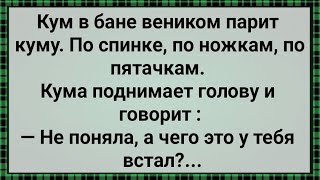 Как Кум в Бане Веничком Куму Парил! Сборник Свежих Анекдотов! Юмор!