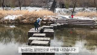 [삼형제프렌디] 서울의 첫눈온날 한강나들이