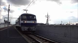 城東貨物線 EF210-141号機 試運転 （復路） JR長瀬 2011.01.17