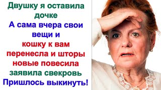 Ничего не предвещало беды! Я встречала свекровь с распростёртыми объятиями. Но что-то пошло не так!