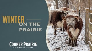 Conner Prairie - Winter on the Prairie