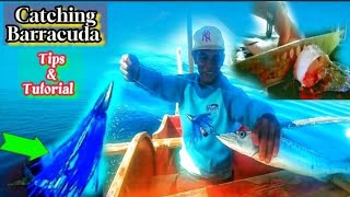 Best Tips for Catching Barracuda!|Tanigue fishing lure tutorial+++ Catch \u0026 Cook