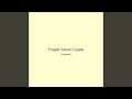 Fragile Velvet Crystal
