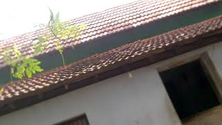 எங்க தாத்தா வீடு(my Grandfathar's house in kanniyakumari)