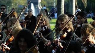 We Will Rock You - Violín Fest 2024