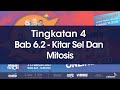 Biologi Tingkatan 4 - Kitar Sel Dan Mitosis