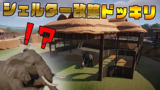 【Planet Zoo】アフリカゾウに寝起きドッキリ！実況プレイ#40