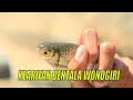 [FULL] KEARIFAN BENTALA WONOGIRI | JEJAK PETUALANG (12/10/22)