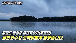 [낚시의 시간 #23] 철원 금연저수지에서 붕어가 먹고 나온 미끼는?